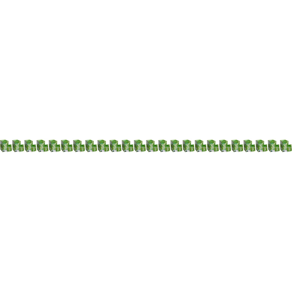 Grüner Tee - Bio & Fairtrade - 24 x Tee des Lebens - 25 Teebeutel