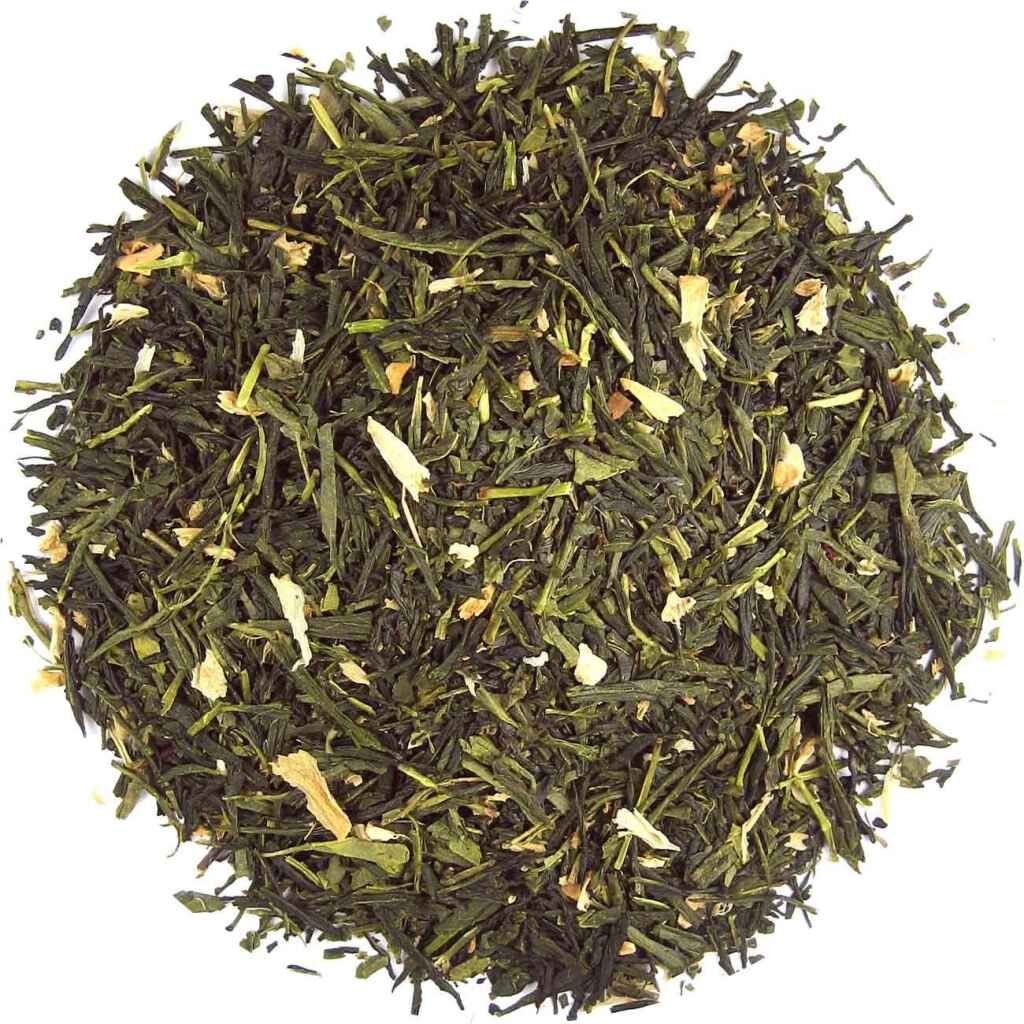 Kaktus & Sencha - Grüner Tee 100 Gramm - Café du Jour loser Tee