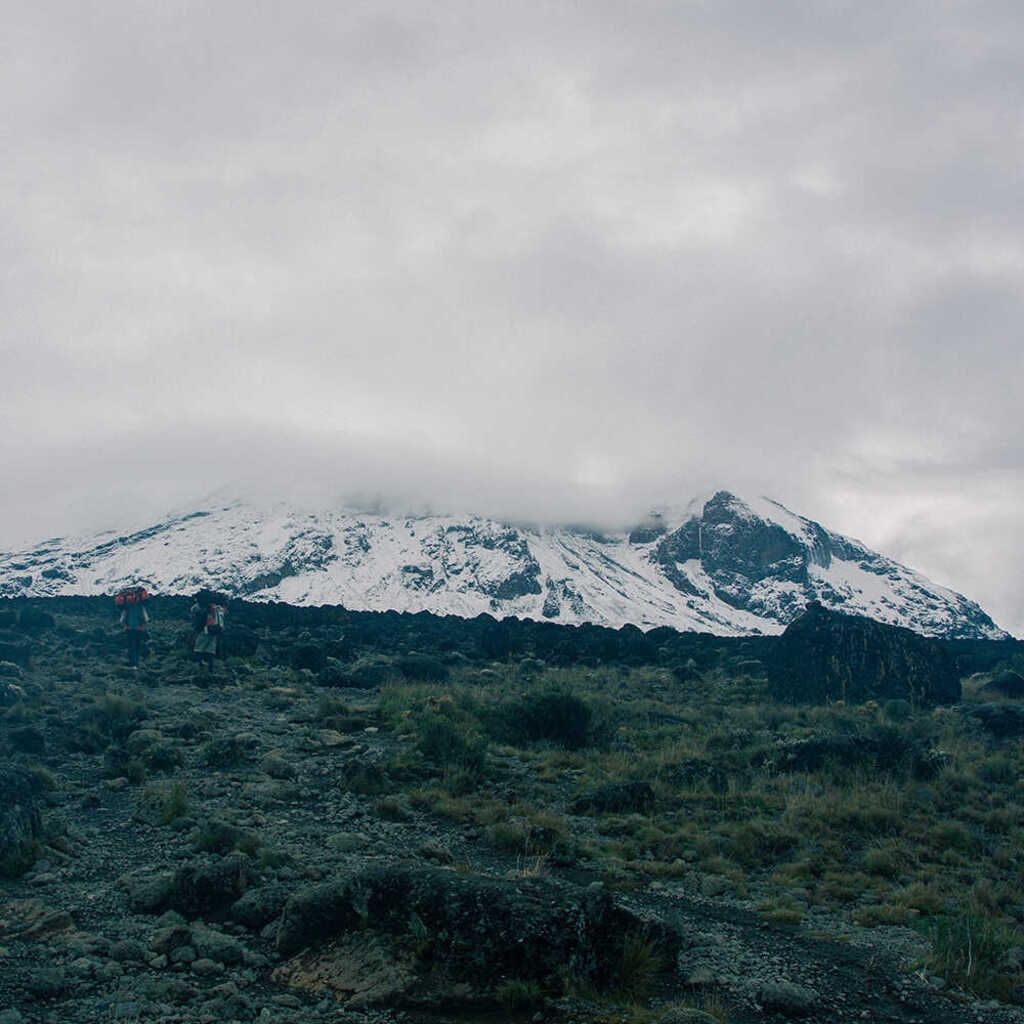 Café du Jour 100 % Arabica Tansania