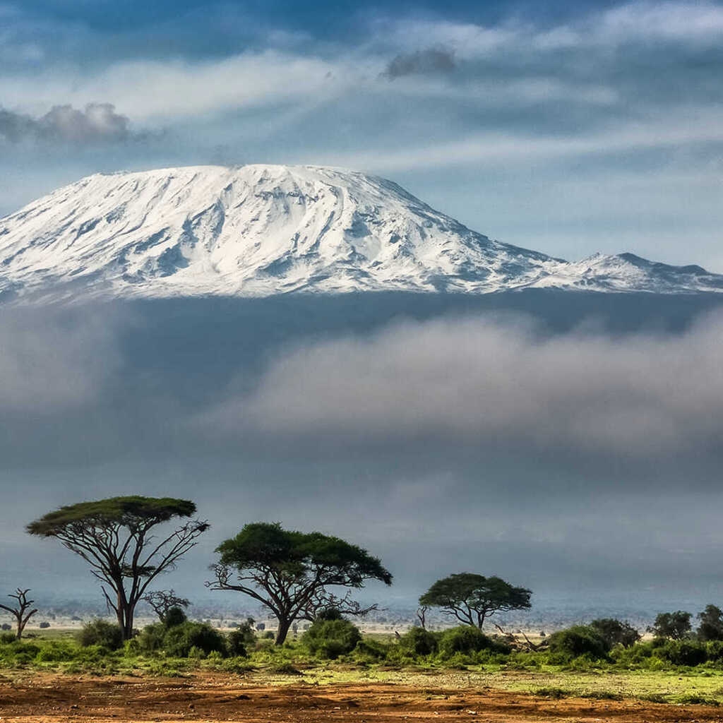 Café du Jour 100 % Arabica Tansania