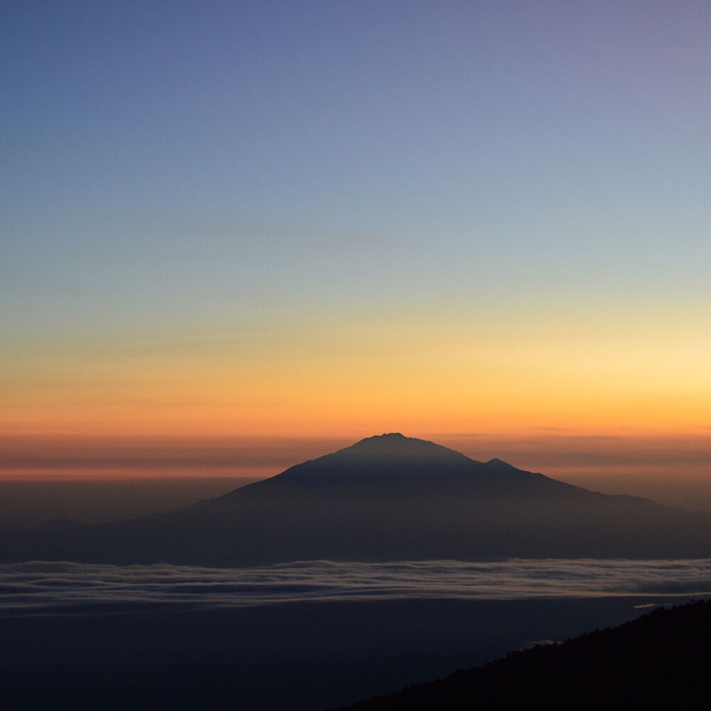 Café du Jour 100% Arabica Tansania