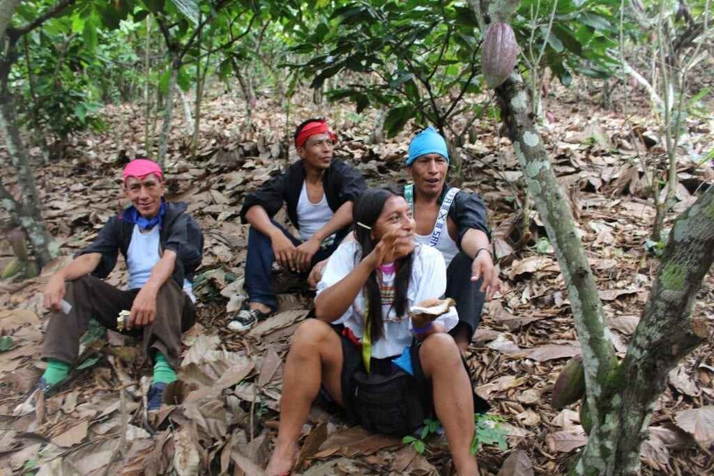 Millésime - Peru Spekulatius - 55% Milchschokolade (Bio)